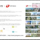 송도양우 이미지