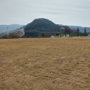 포천 한탄강 Y자형 출렁다리 이미지