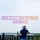 바다향기 | [경기도 가볼만한곳] 흐린 날의 힐링 산책, 시원한 바닷바람이 반겨주는 대부도 바다향기수목원 방문 후기