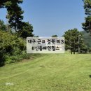 파인힐스골프장 | 경북 신동파인힐스 파3 골프장 이용 후기 이용요금