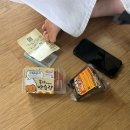 추자약국 | 송림 블루오션(제주-추자-완도)