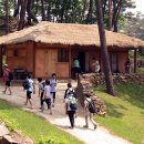 소백산 화전민촌 이미지