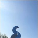 아우내실내체육관 이미지