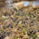 밀리네해물탕 이미지