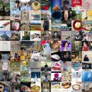 천문동 농장 | 블로그 인기 포스팅만 모아: 매일 최신의 인기 블로그 포스팅을 한곳에서!! (2025.08.06 22:16)