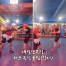 레드복싱클럽 이미지