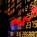 코렌바이오 이미지