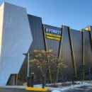 포레스트스크린 이미지