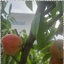 스테이 하루 | 울주독채펜션 자연 속에서의 특별한 하루, 뮤즈세움 스테이 후기