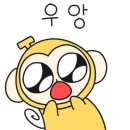 비비드미용재료