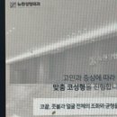 뉴원성형외과의원 이미지