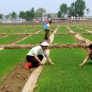 최영림농장 이미지