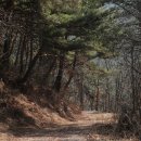 의풍1리 용소계곡 | 소백산자락길7코스(십승지 의풍옛길)<추천>