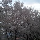 위천 당산농공단지 이미지