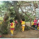 보고유치원 이미지