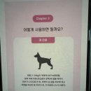 두정동물약국 이미지