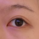 도노슈아 이미지