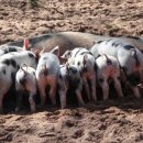 새롬메디 이미지