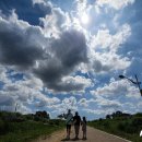 푸른하늘 이미지