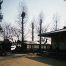 나비야 | 강원도 혼자 여행하기 좋은 나비야 게스트하우스 주말 방문후기