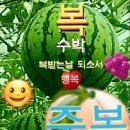 대한노인회 보령시지회 이미지