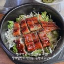 국도21호 은행나무길 | [수원시/장안구] 성대역 맛집 은행나무장어, 점심 장어덮밥 후기