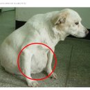 동의온누리약국 이미지