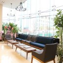 강남통쾌의원 이미지