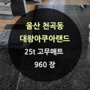 대왕아쿠아랜드 이미지