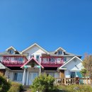 풍차랑 허브랑 이미지