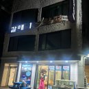 [묵호 맛집] 묵호항 현지인 맛집 추천! 가성비 있는 정겨운 “갈매기횟집” 내돈내산 후기