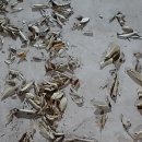 채수창 행정사 사무소 이미지