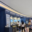 "아쿠아플라넷 광교" 내돈내산 후기🐠🐟🐡(주차,머메이드쇼)
