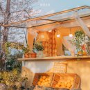 청벽농장 | 인생샷 찍기 딱 좋은 가을여행 스팟 추천!