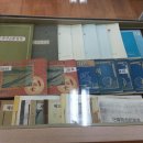 동일중앙초등학교 이미지