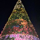 가고파플라워 이미지