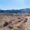 신기리농장 이미지