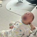 매탄2동 130-36~매탄2동 130-37 | 6가 혼합백신 헥사심 2개월 접종 후기-세종 꿈담 소아과 | 접종 후 허벅지 부음, 접종열