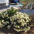 정돈농장2 이미지