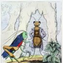 개미와베짱이 이미지