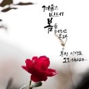 화요일 이미지