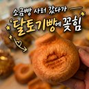 대구빵지순례 필수 코스 수베이커리 달토기빵 솔직후기