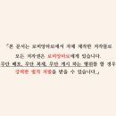 로비앙 랜드에서 타로 레시피(타로 전자책)을 구매 했다😎