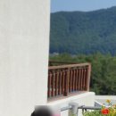 나로드림 이미지