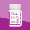 위드바이오 쇼핑하우
