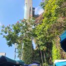 굴안 | 다낭 오행산 암푸동굴 솔직후기 오행산 안 올라가도 충분했던 곳