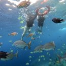 쌍둥이세차장 | 힘들어도 그리울 여행🛥️