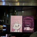움파 마리캣 신상 팝업스토어 방문 후기