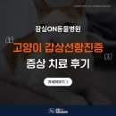 송파바로동물병원 | 송파 동물병원 고양이 갑상선항진증 진단 치료 후기