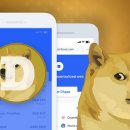 다우마켓 이미지